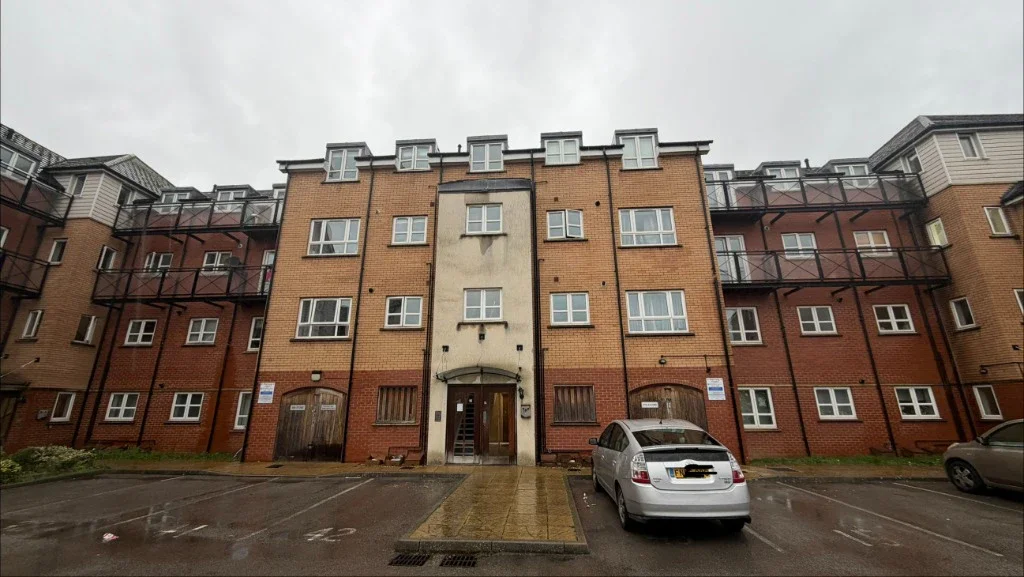 Flat Cotton End in Buckingham