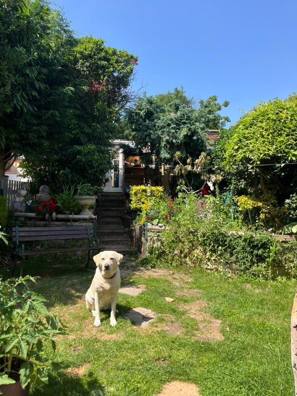 Room De Frene Road in Greater London
