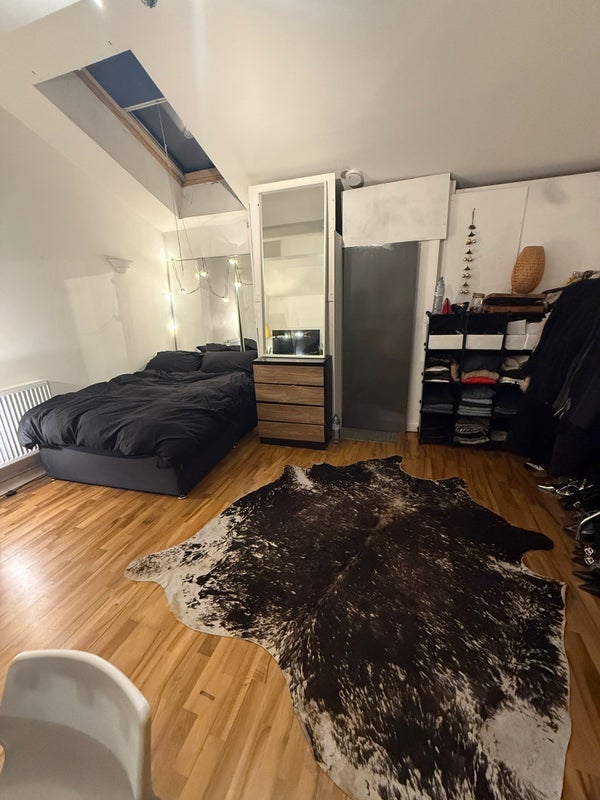 Room Shacklewell Row in Greater London