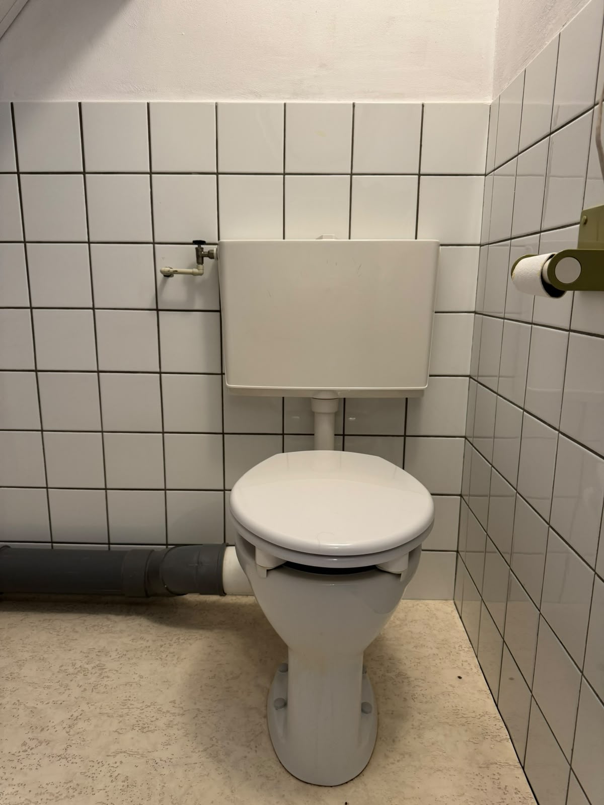 Vrijstaande woning te huur: Binnenhagen 7, Goor