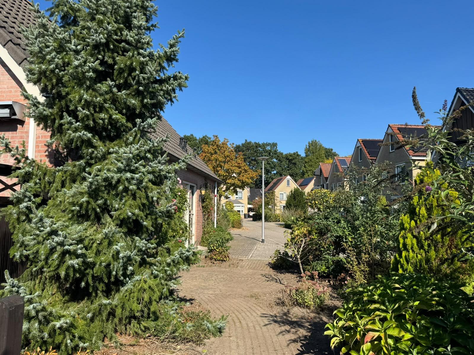 Vrijstaande woning te huur: Binnenhagen 7, Goor