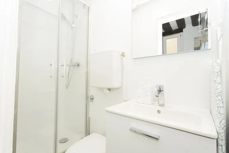 Flat Rue Budé in Paris