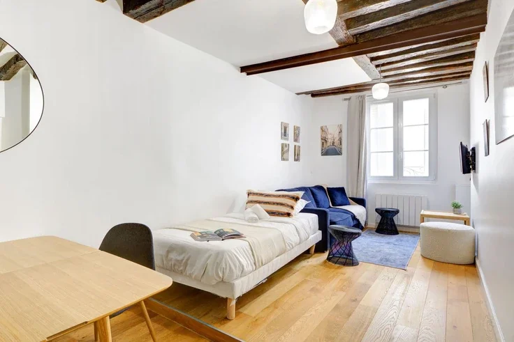 Flat Rue Budé in Paris
