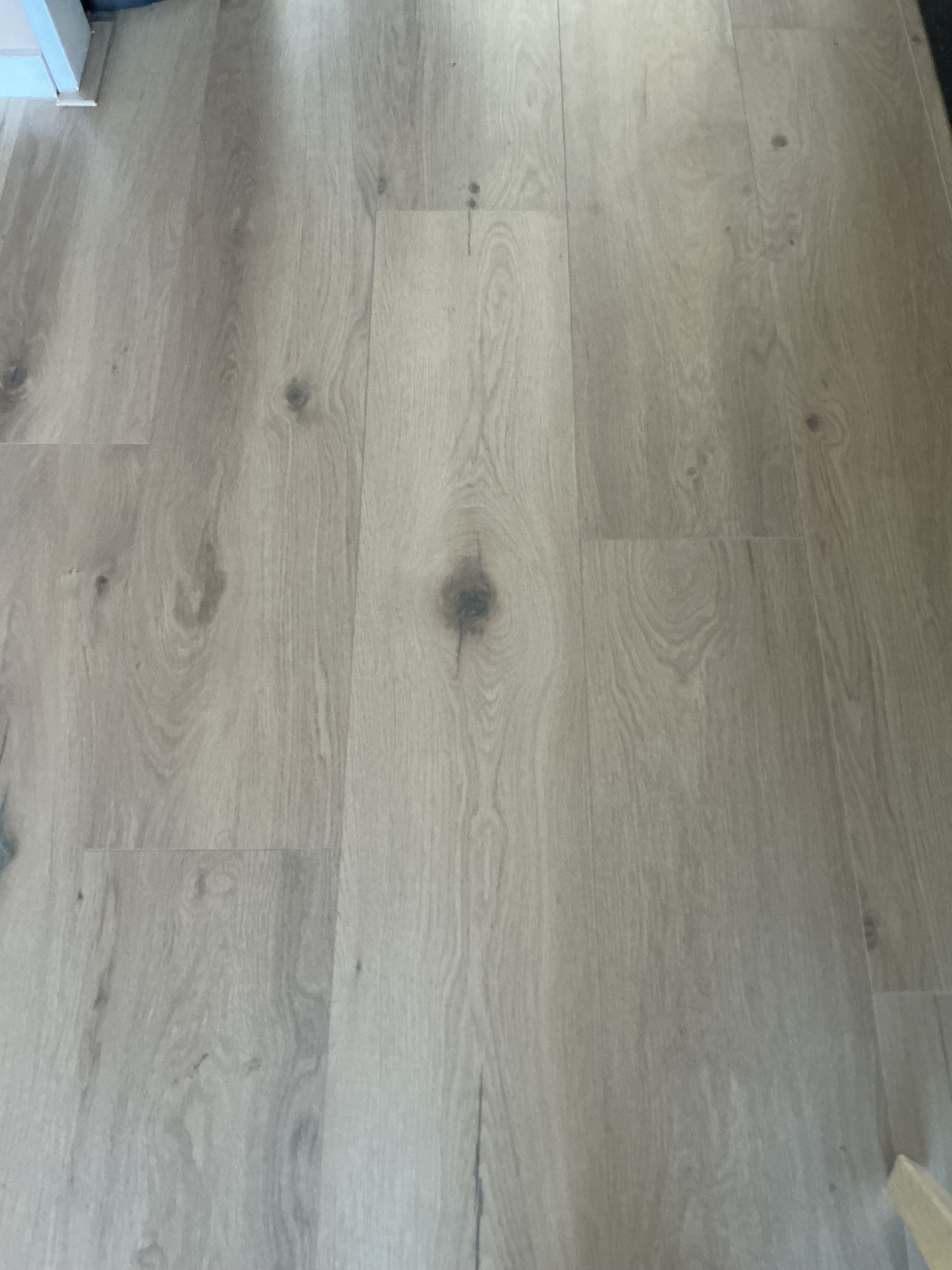 Kooilaan 41 F8, Leiden