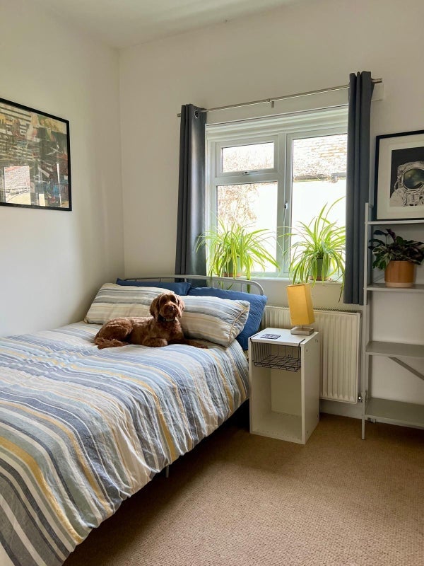 Room Playford Road in Greater London