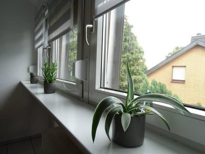Wohnung Joh.-Peter-Knippen-Straße in Leuth