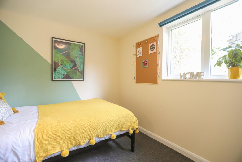 Room Auckland Drive in Brighton