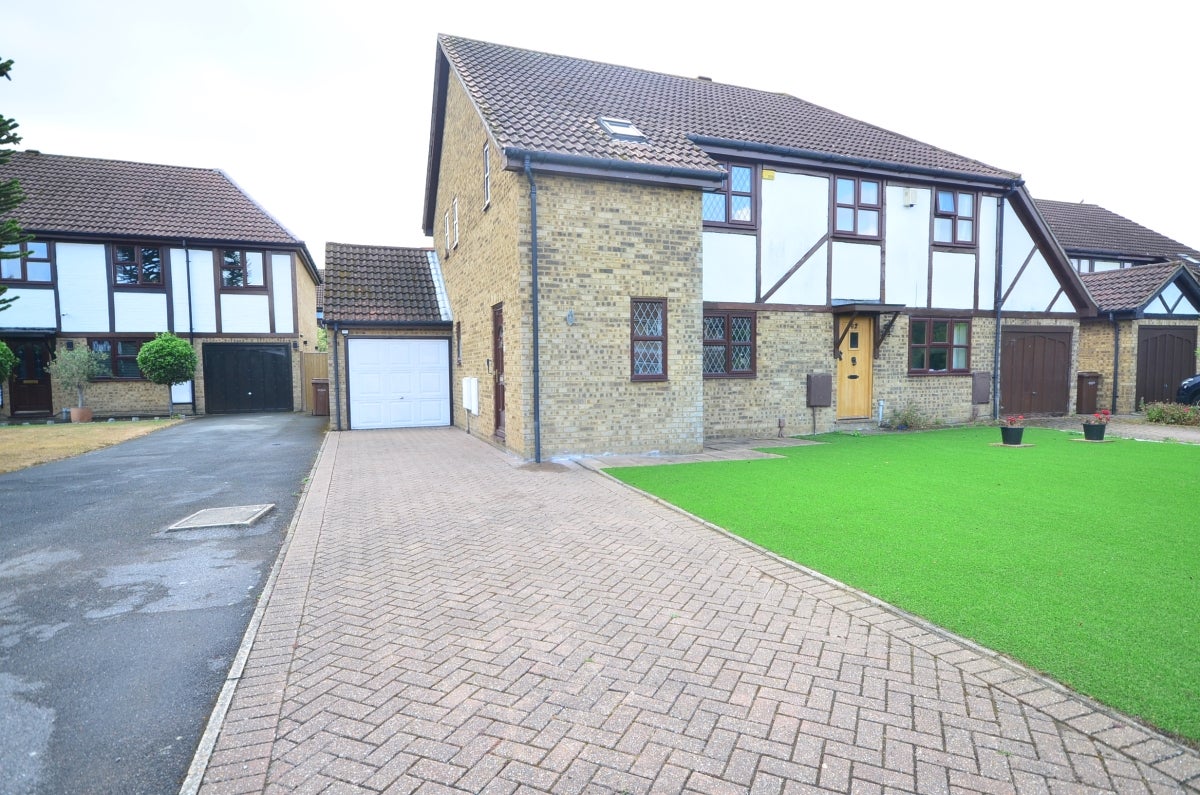 House Greenfinches in Gillingham
