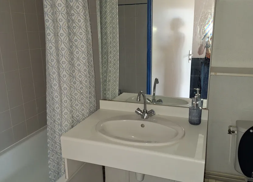 Appartement Avenue Georges Brassens à Blagnac