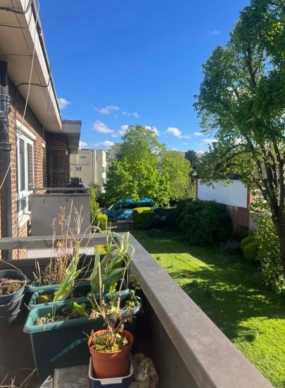 Room Nightingale Lane in Greater London