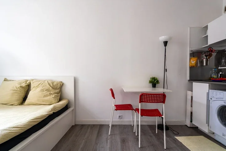 Flat Rue Guyton de Morveau in Paris