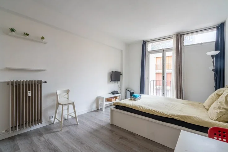 Flat Rue Guyton de Morveau in Paris