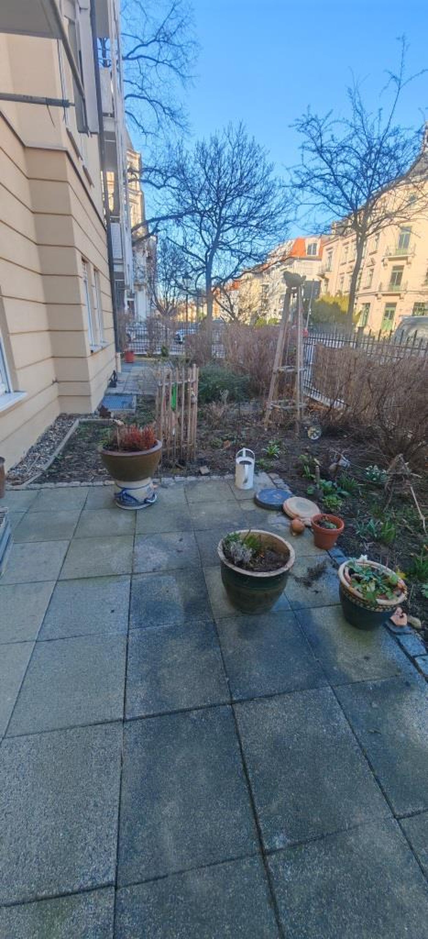 Wohnung Schlüterstraße in Dresden