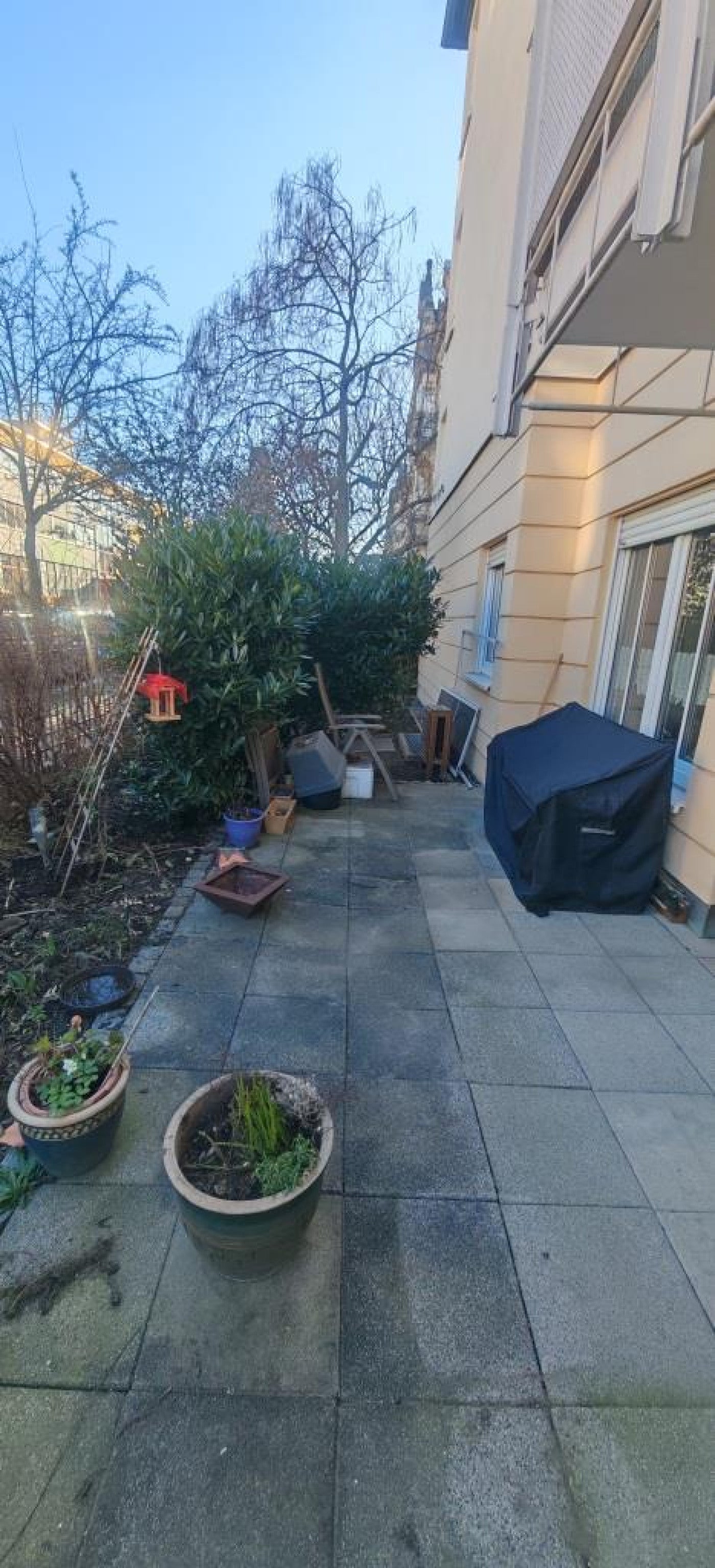 Wohnung Schlüterstraße in Dresden
