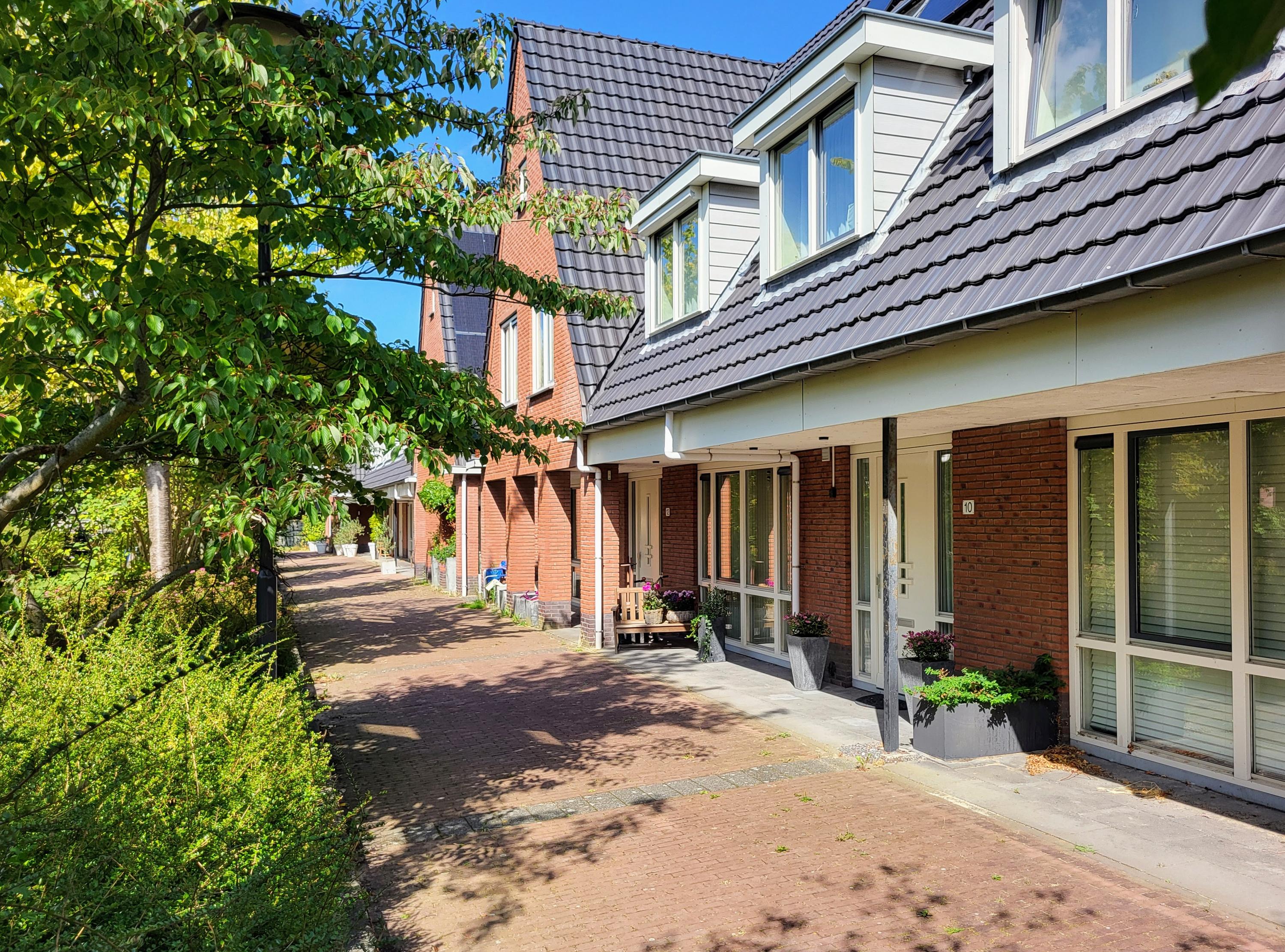 Zandoogjestraat 10