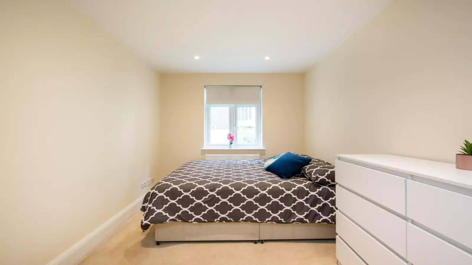Room Lupus Street in City of Westminster
