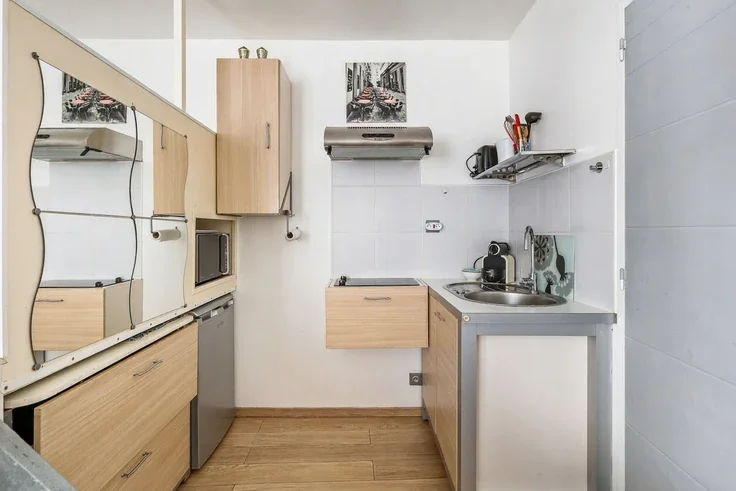 Flat Rue Grégoire de Tours in Paris