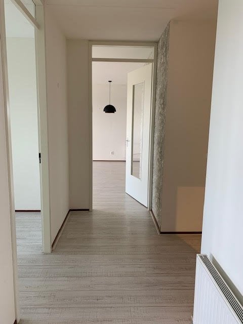 Appartement Rijngraafstraat 3