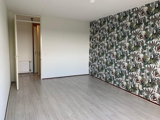 Appartement Rijngraafstraat 12