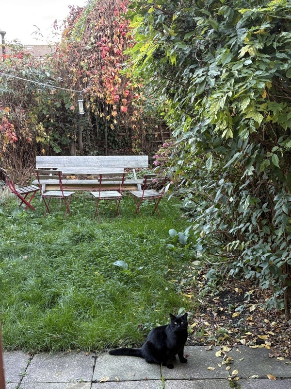 Room Roding Road in Greater London
