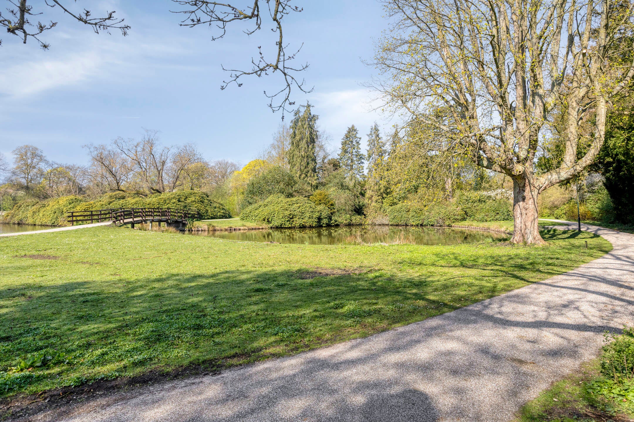 Studio te koop: Parkweg 70, Haren Gn