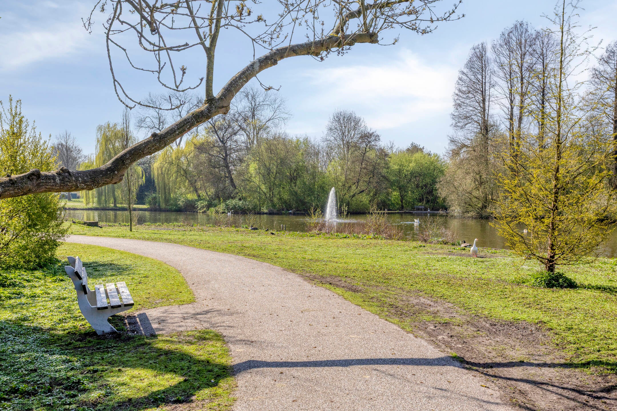 Studio te koop: Parkweg 70, Haren Gn