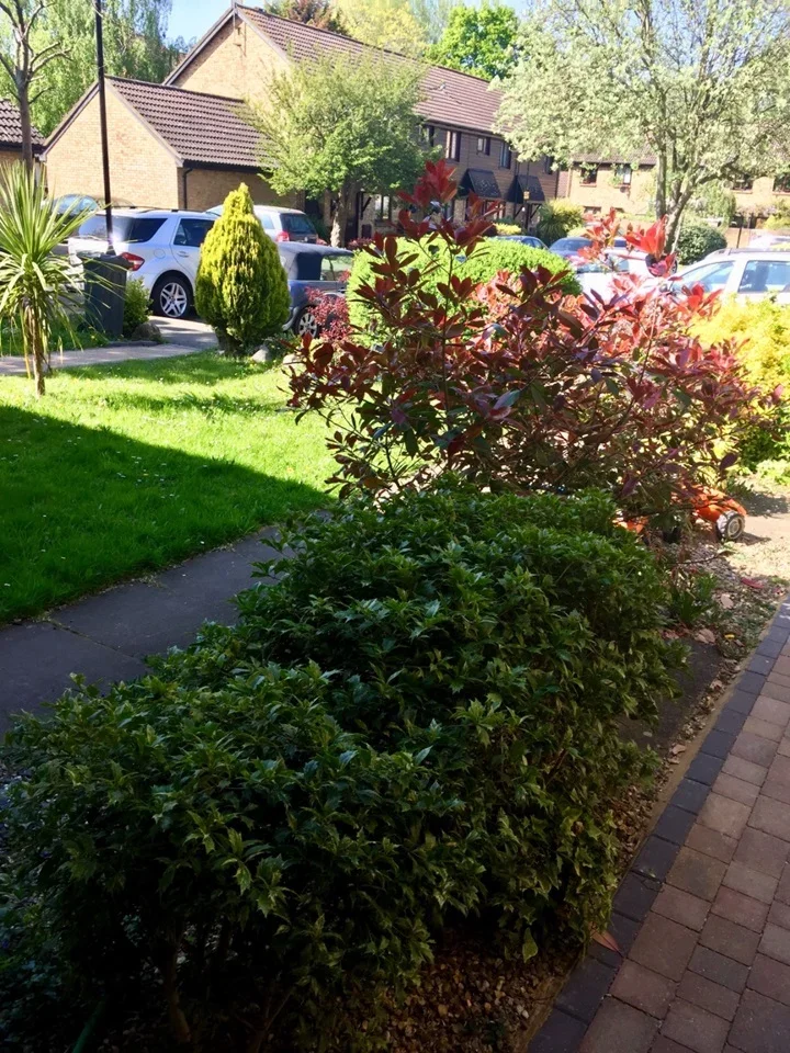House Foxwood Close in Greater London