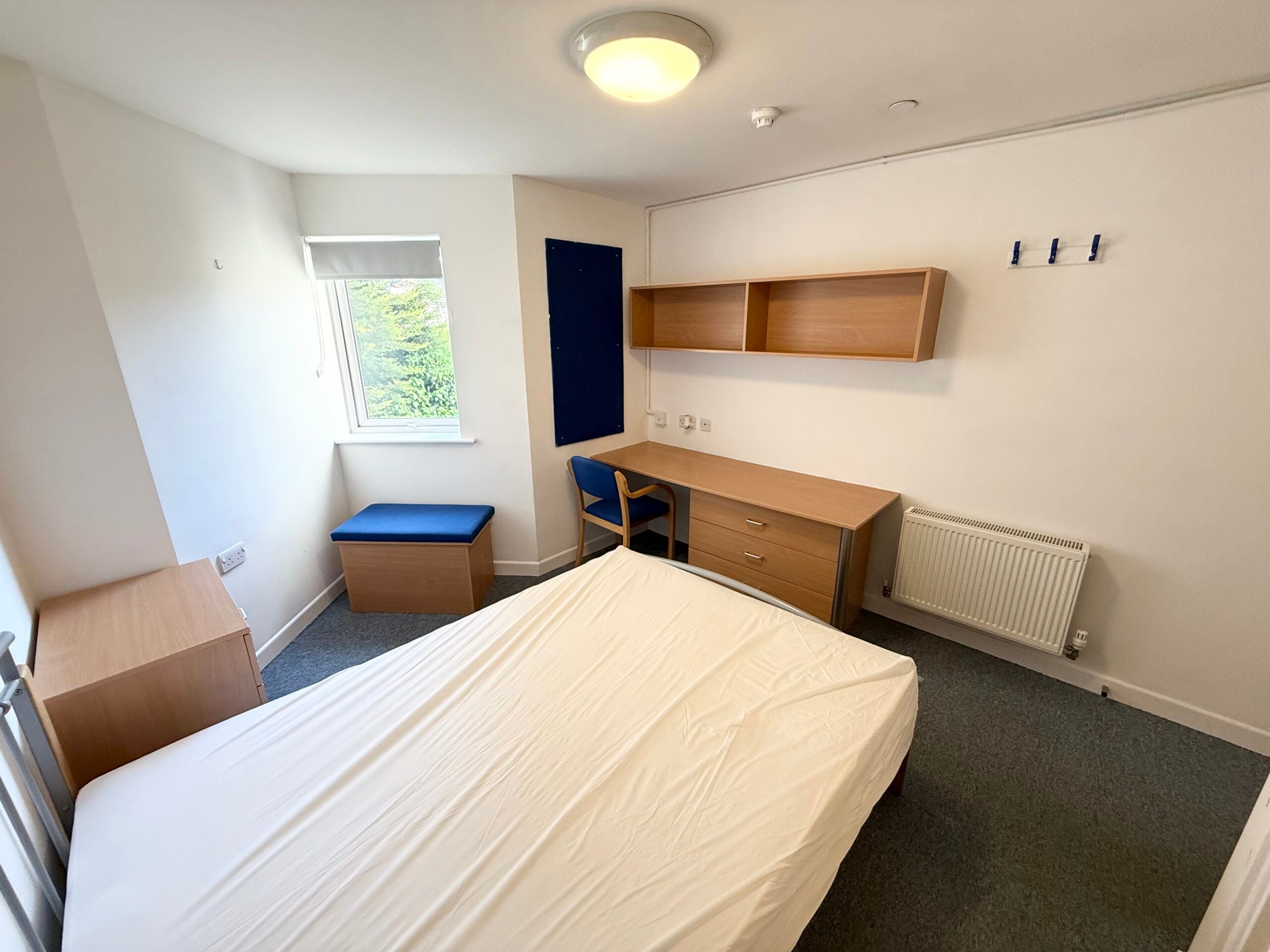Room Lincoln Road in Peterborough