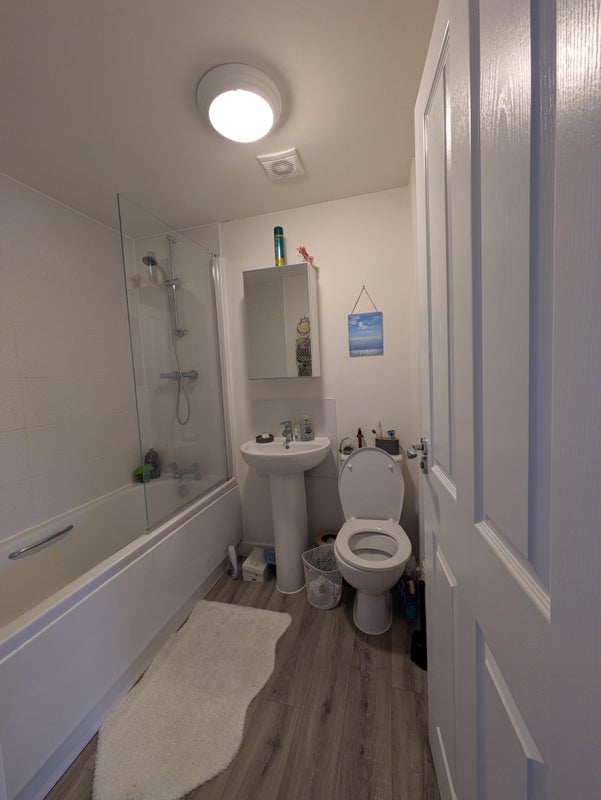 Flat Woodland Grove in Shirebrook