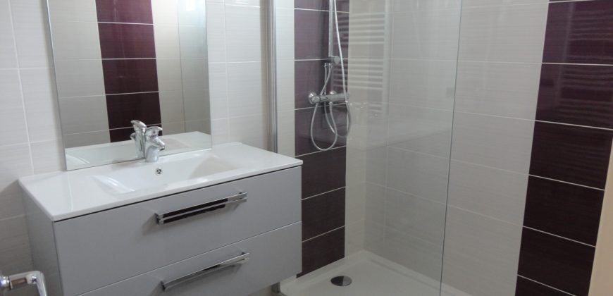 Appartement Ligne Saint-Rambert-d'Albon - Rives à Izeaux