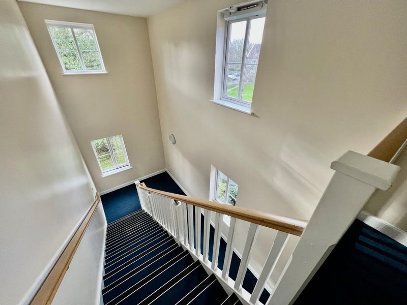 Flat Snowberry Walk in Bristol