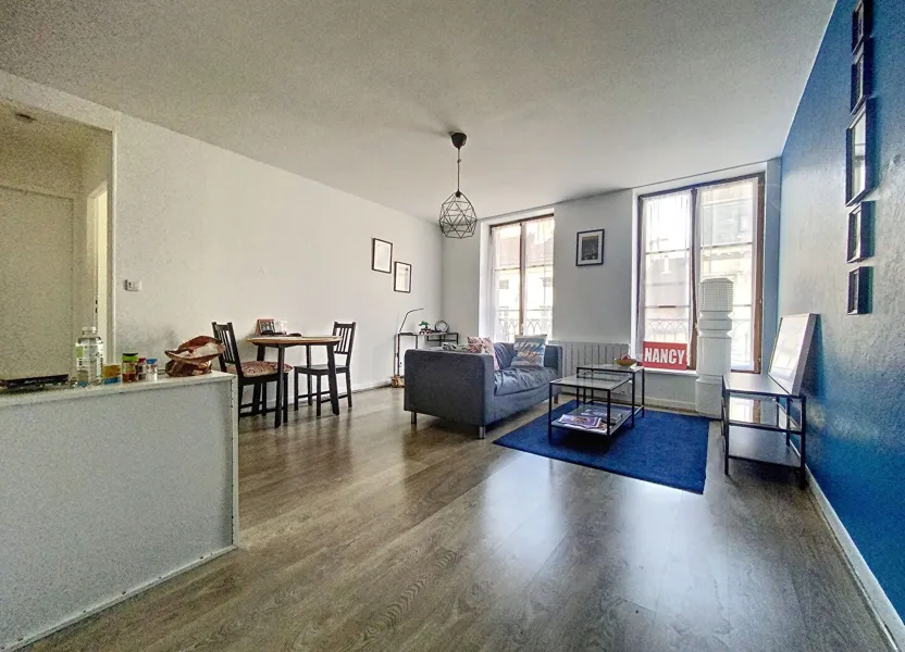 Flat Allée Bernard Guerrier de Dumast in Nancy