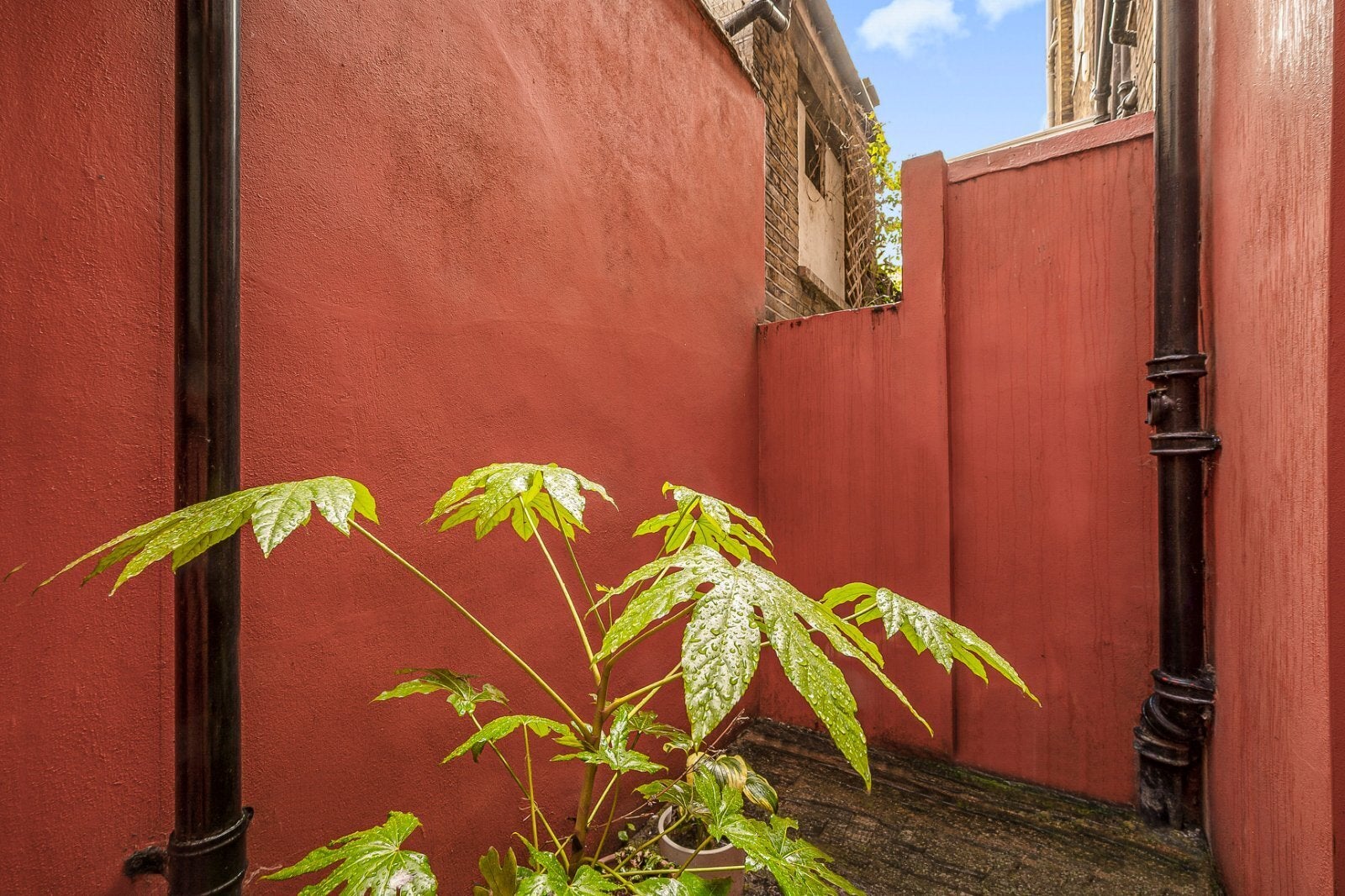 House Colville Place in Greater London