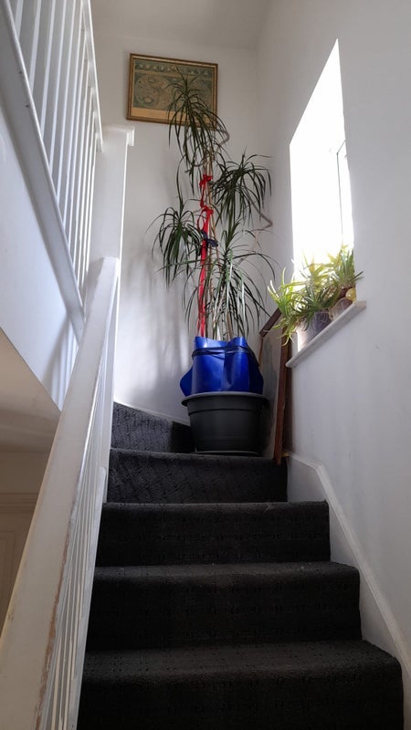 Room Narel Sharpe Close in Sandwell