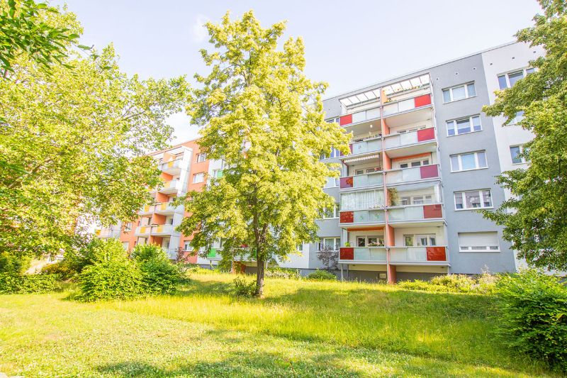Zimmer Mannheimer Straße in Halle (Saale)