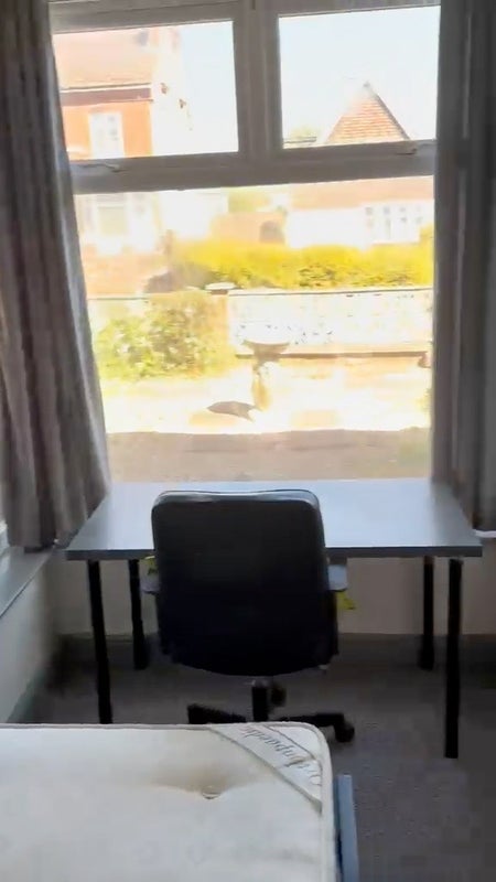 Room Stoneyford Road in Ashfield
