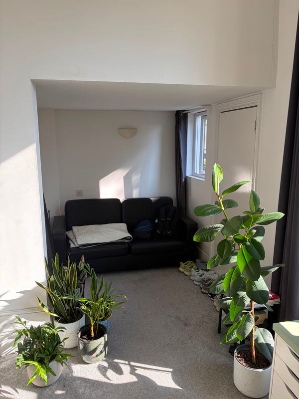Room Yonge Park in Greater London