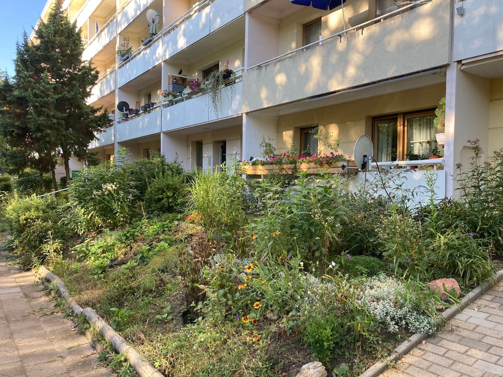 Wohnung Gubener Straße in Eberswalde