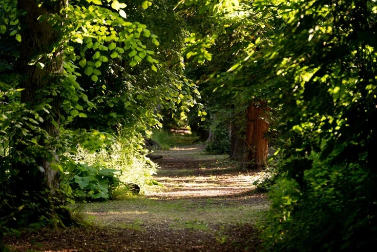 Flat Copnor Close in Basingstoke and Deane
