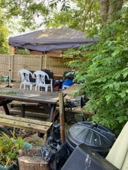 Room Elgar Close in Basingstoke and Deane