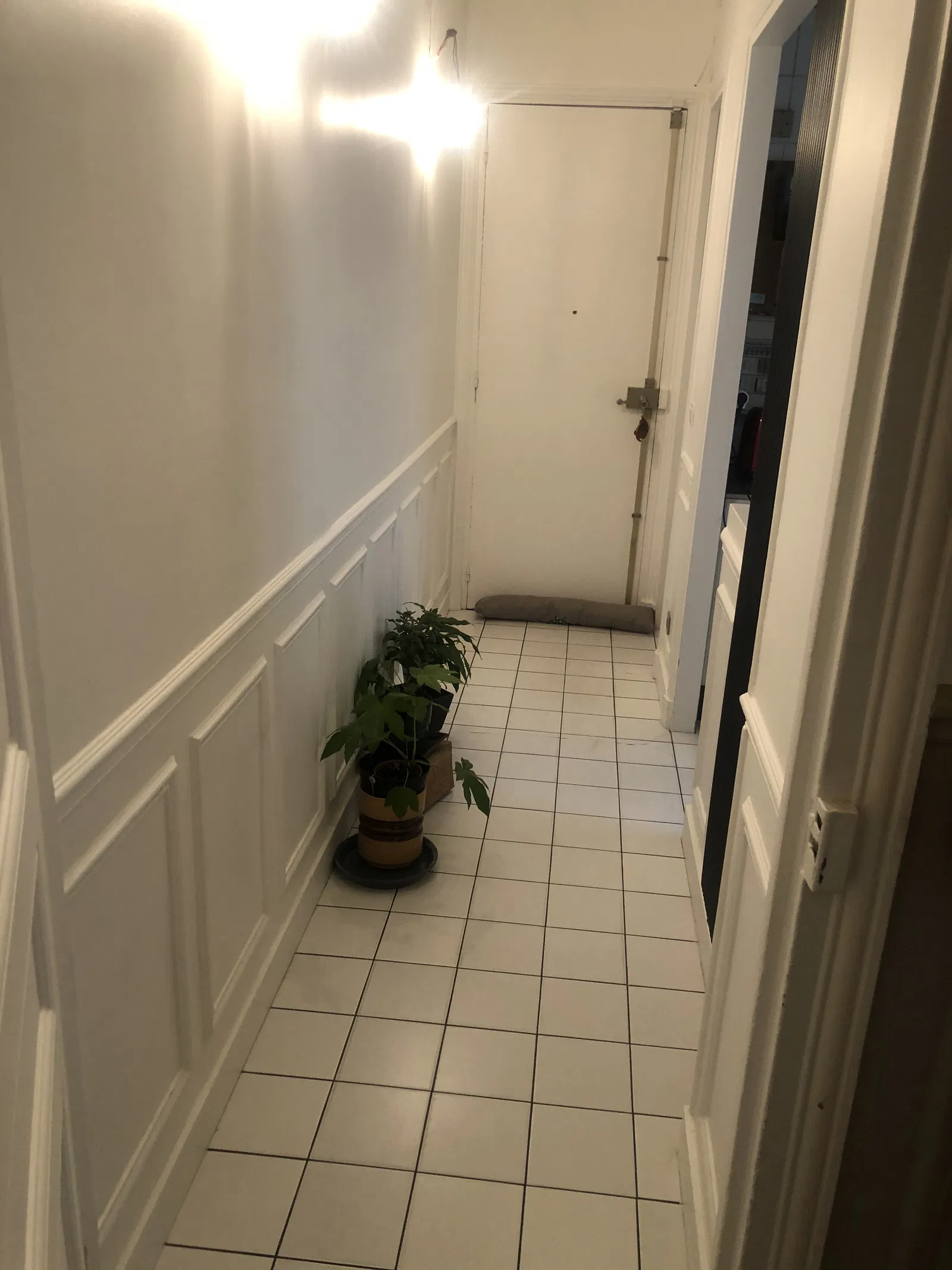 Room Rue Palatine in Paris