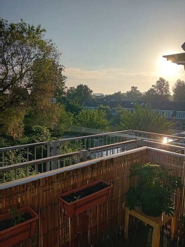 Appartement Abstederdijk 5
