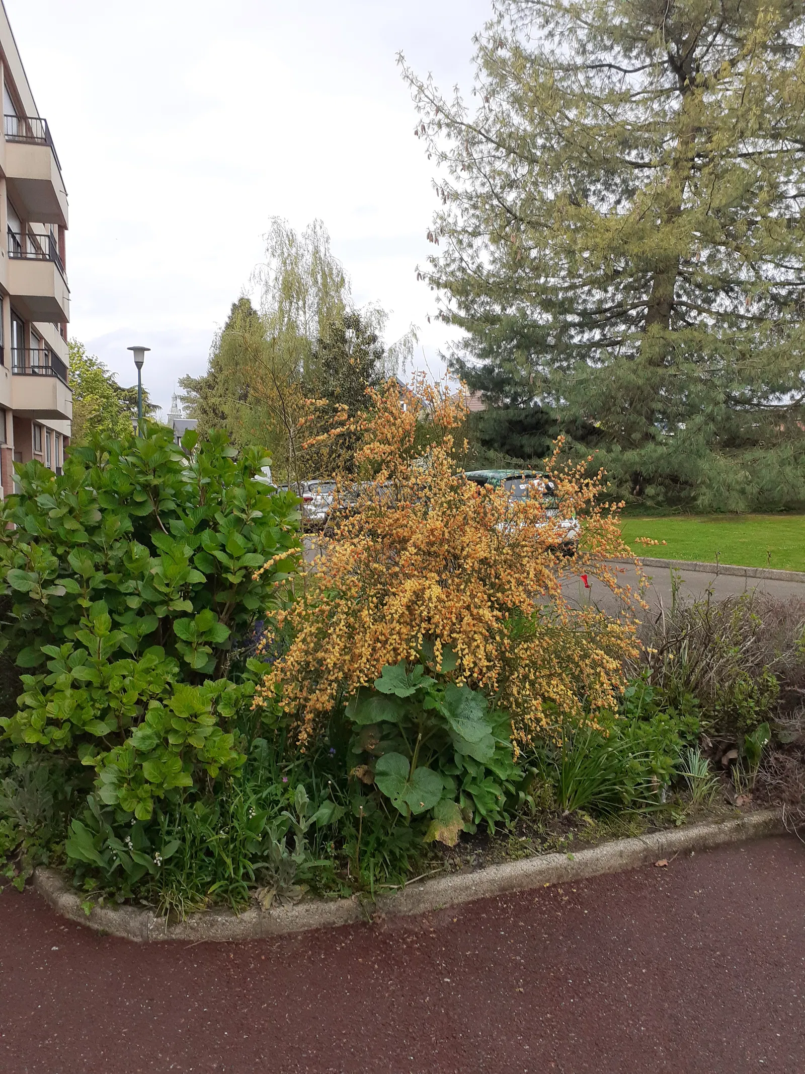 Chambre Rue de la Haie à Bois-Guillaume
