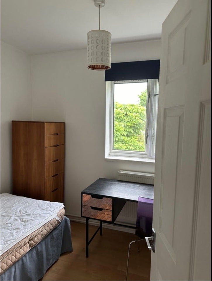 Room Windlesham Grove in Greater London