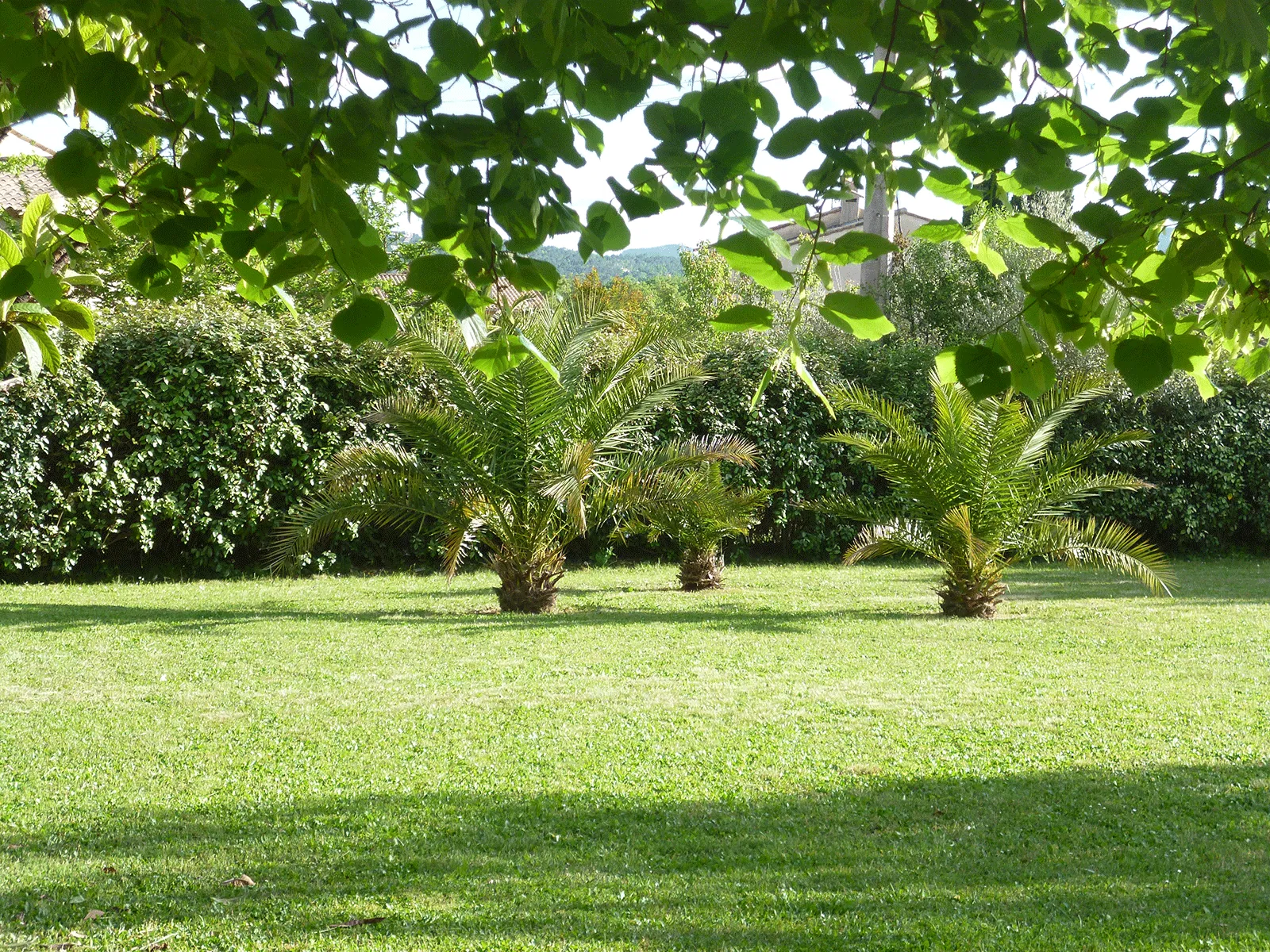 Room Route de Tourrettes in Tourrettes