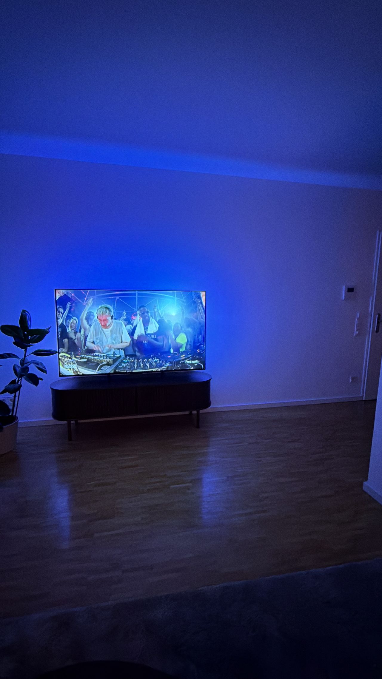 Wohnung Rheinallee in Mainz