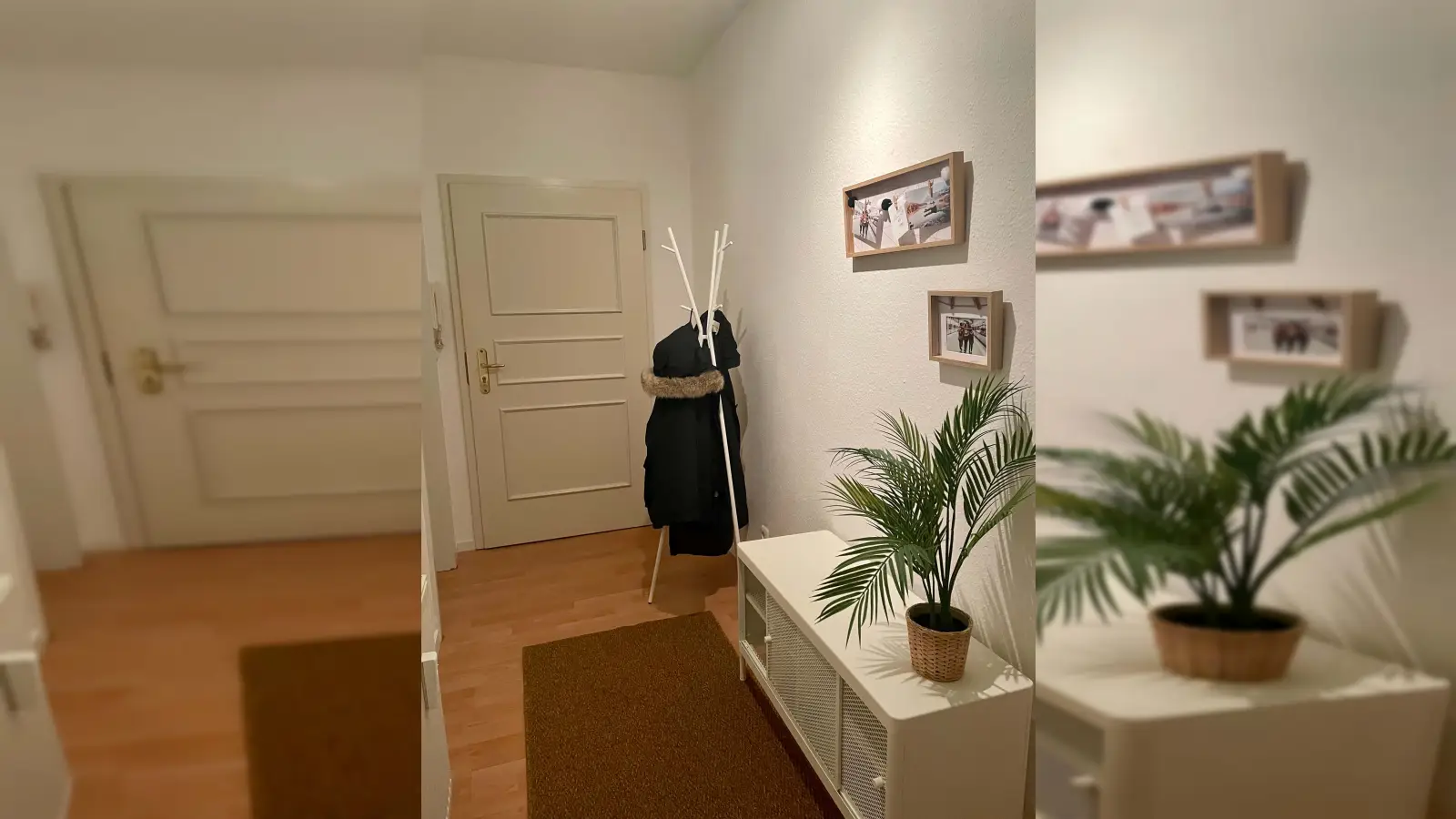 Wohnung Knorrstraße in Leipzig
