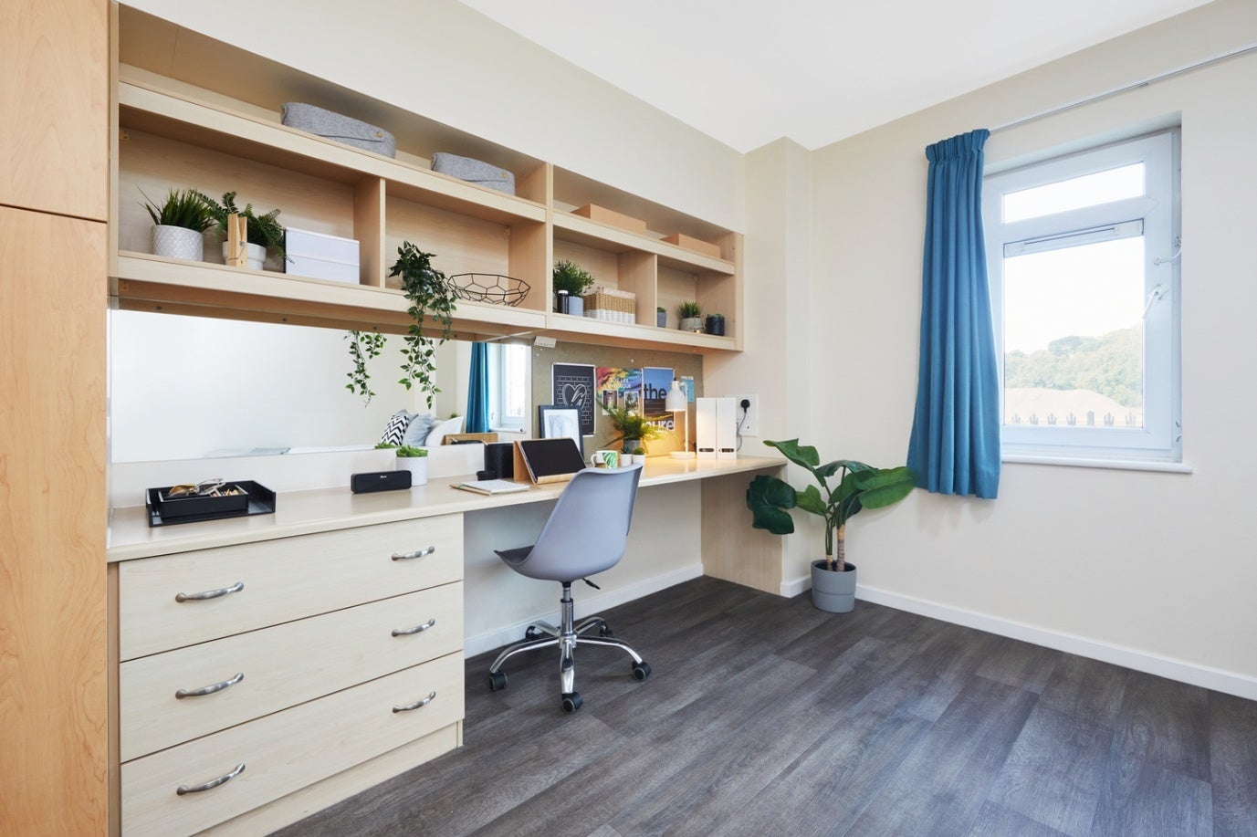 Room King Edward Street in Exeter