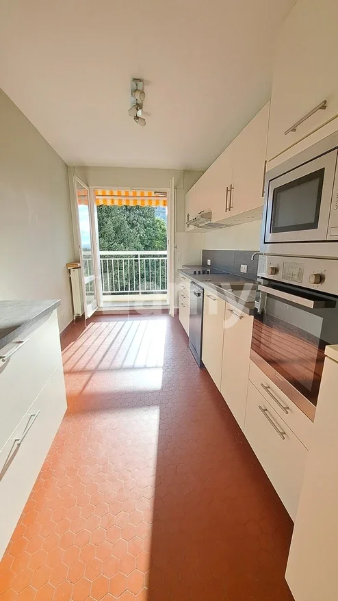 Flat Rue Docteur Edmond Locard in Lyon