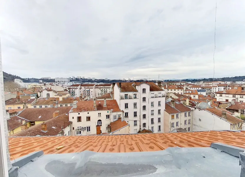 Flat Quai Hippolyte Jayr in Lyon